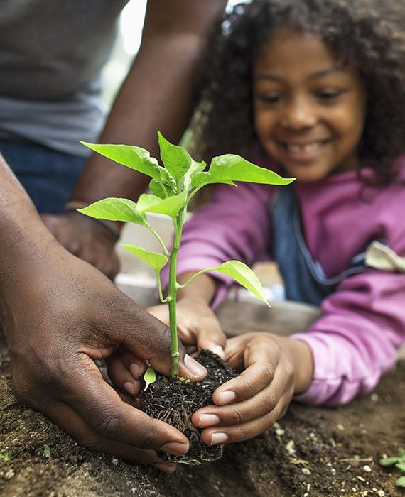 A child planting a seedling with the help of an employee volunteer